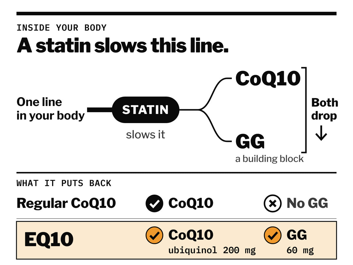 Diagram: one line in your body leads to CoQ10 and to GG. A statin slows the line, so both drop. Regular CoQ10 puts back only CoQ10. EQ10 puts back CoQ10, as ubiquinol, and GG.